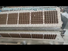 lini produksi baki telur