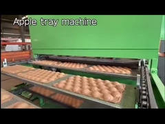 High Efficiency Pulp Egg Cartons Making Machine , Fruit Tray Making Machine