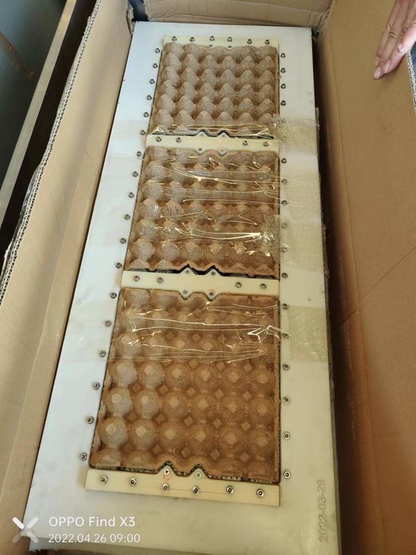70-150KW 2000-3000 Pcs/H Mesin Pembuatan Tray Telur Rotary Otomatis Harga Mesin Pembentuk Tray Telur Untuk Tray Telur Pulp
