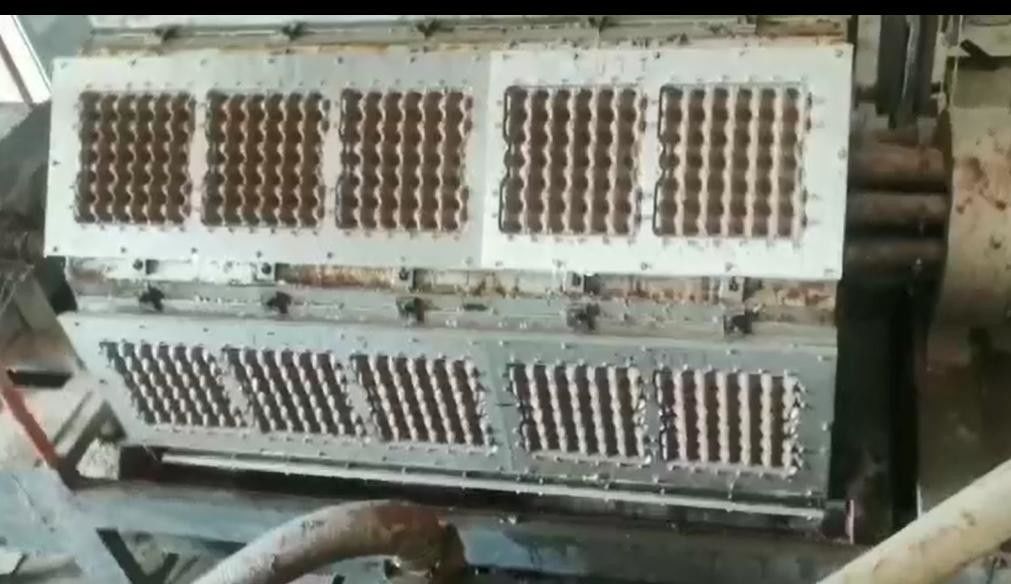 Mesin Tray Telur Otomatis Berkecepatan Tinggi Dengan Cetakan Aluminium Untuk Ayam Peternakan