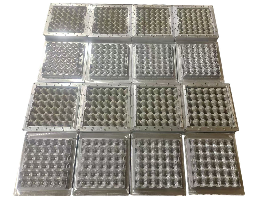5000pcs / jam penuh otomatis Kapasitas 5 * 8 cetakan Rotary Membentuk Model Telur Tray Produksi Line Mesin cetakan pulp kertas