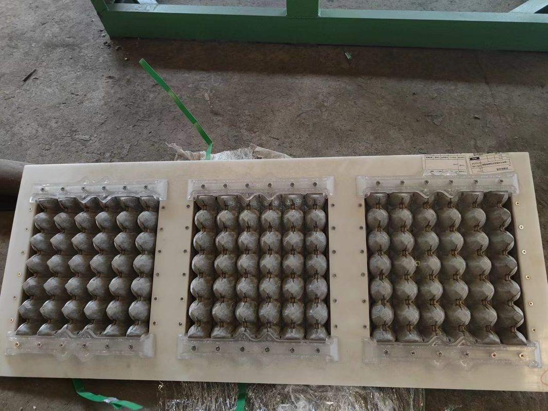 3x4 Mesin Tray Telur Rotary 2000PCS / H Output stabil, disesuaikan untuk bisnis pemula