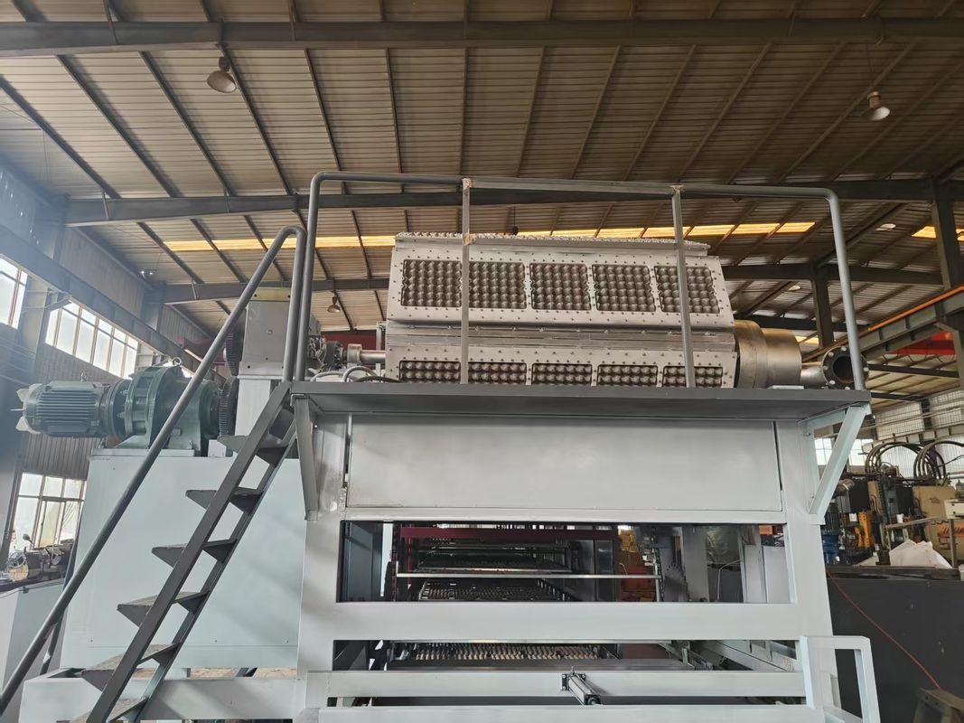 5*8 Cetakan Kapasitas Besar Mesin Pengemasan Tray Telur Otomatis / Peralatan Cetakan Pulp / Jalur Produksi Tray Telur dengan Panel Layar Sentuh Kontrol PLC