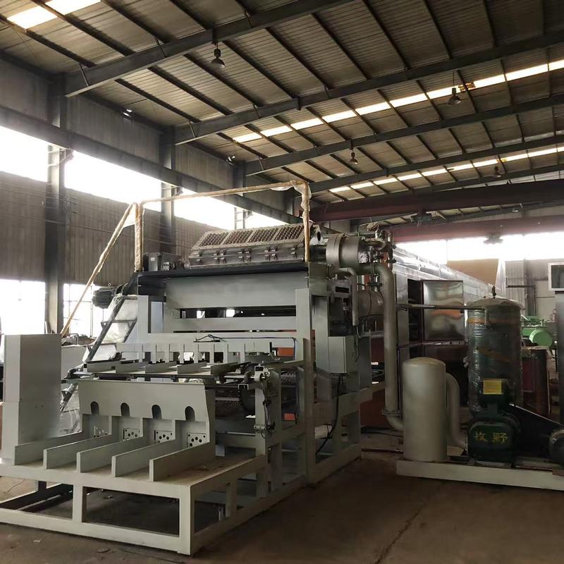 Kapasitas 2500-3000 pcs/jam WANYOU Mesin Cetak Pulp Baki Telur yang Ramah Pengguna Dari Shandong Cina