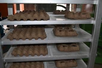 Mesin Cetak Pulp Kertas Daur Ulang Untuk Pembuatan Baki Telur / Baki Buah / Baki Botol