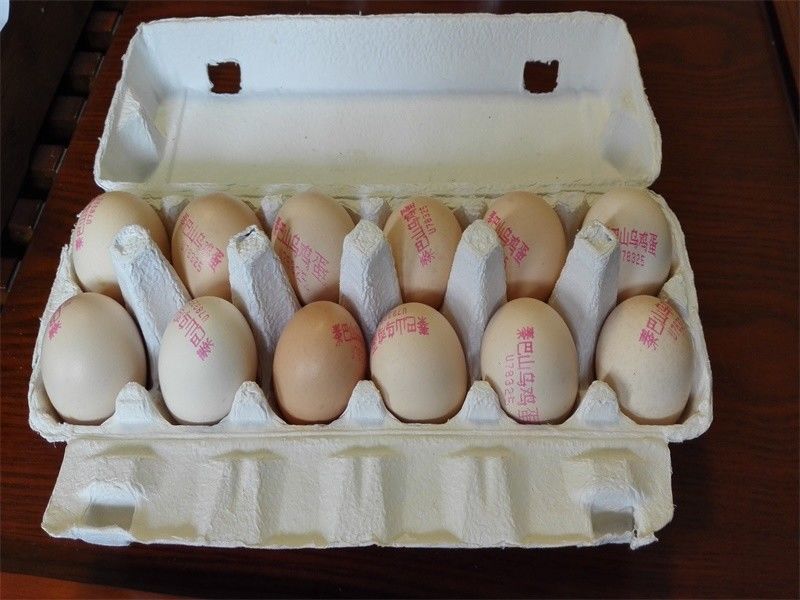 Limbah kertas daur ulang Mesin Tray telur kertas bekas / Otomatis kertas Pulp Egg Tray Produksi Line