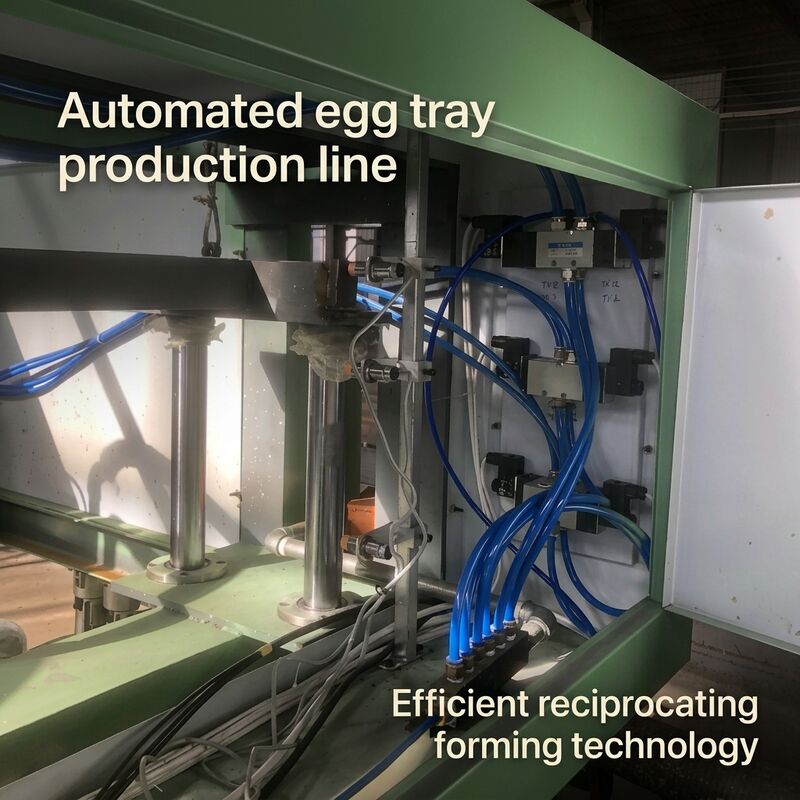 Otomatis 40kw Kecil1000pcs Per Jam Mesin Tray Telur Kertas EggTray Jalur Produksi Untuk Membuat Tray Telur Karton Telur Sepatu Tray Apple Tray PLC Dikendalikan