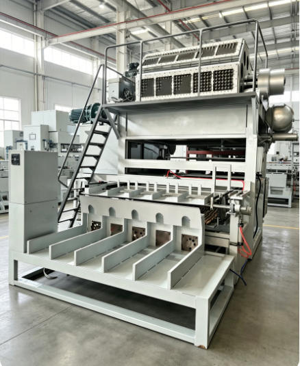 Rotary Paper Egg Tray Machine Egg Carton Produksi Line 5000 pcs/h Daur Ulang Pulp Paper Molding untuk peternakan unggas Meksiko