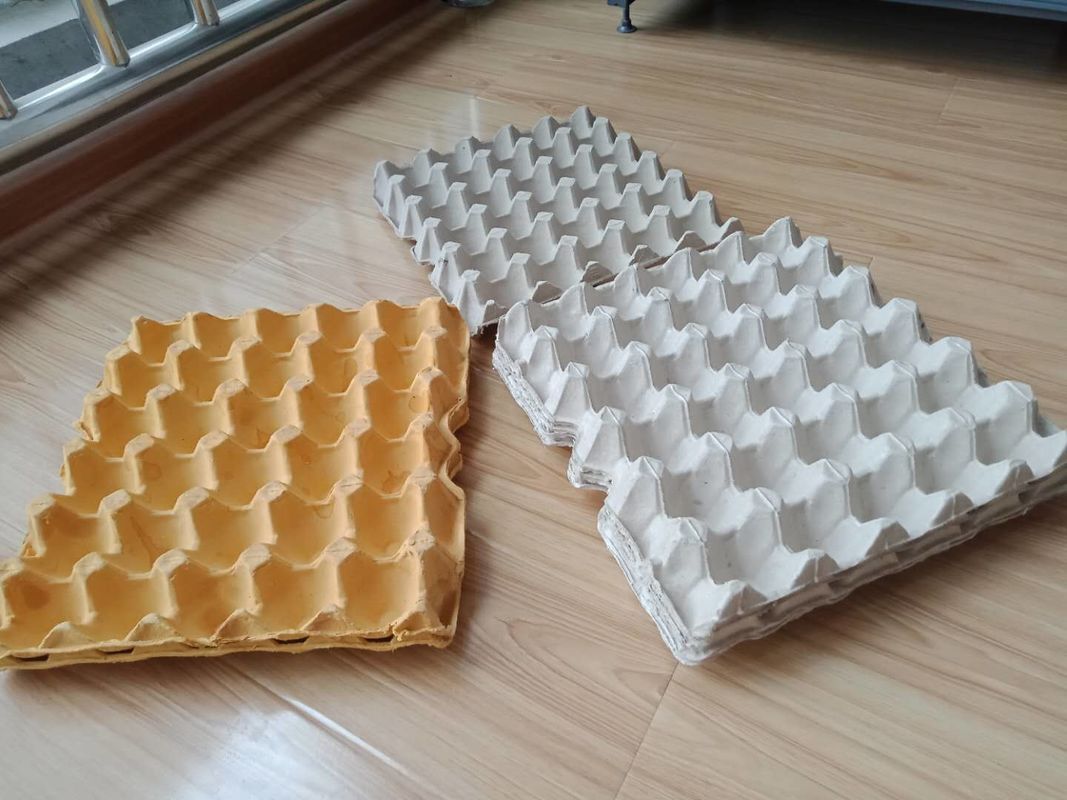 Hot Pressing Pulp Moulding Machine Telur Tray Produksi Line Dengan Jerman katup
