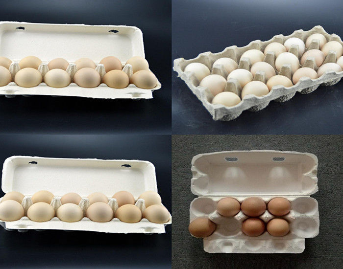 700pcs-1500pcs Per Jam Mesin Baki Telur Cetakan Bubur Kertas Mesin Pembuat Baki Botol Kotak Karton Telur