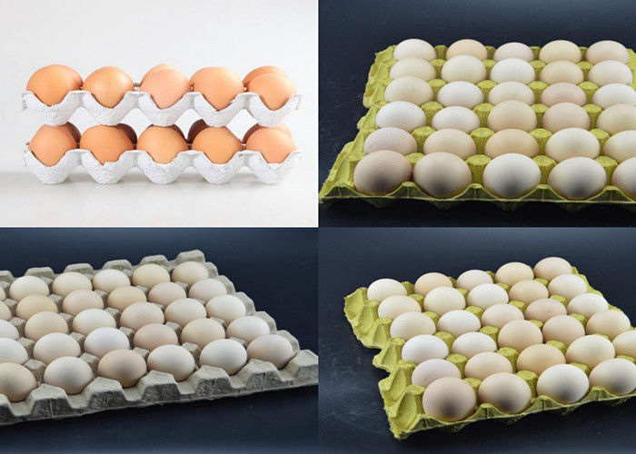 Low Energy High Efficiency Paper Egg Tray Machine Line Produksi Dikendalikan oleh Komputer Dengan Jerman Brand Valve