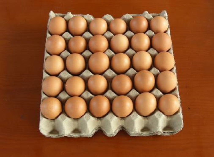 Limbah kertas daur ulang Mesin Tray telur kertas bekas / Otomatis kertas Pulp Egg Tray Produksi Line
