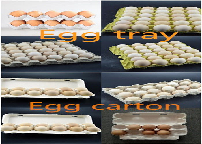 Daur ulang kertas kotak telur telur Tray Mesin Harga Dengan 3000pcs Pulp Apple Tray Mesin