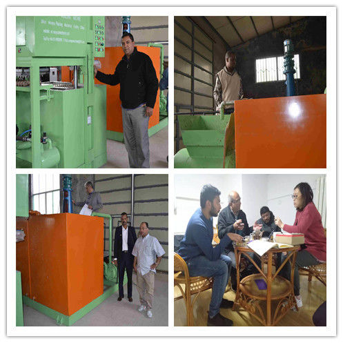 PLC dikendalikan 1300pcs Telur Tray Produksi Line Telur Tray Mesin 380V 50hz