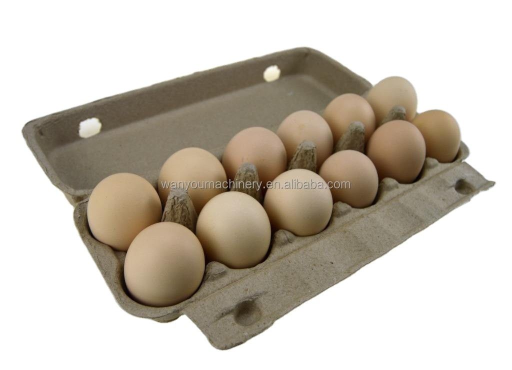 Pulp Waste Paper Egg Tray Making Machine untuk peternakan ayam Kapasitas produksi kecil
