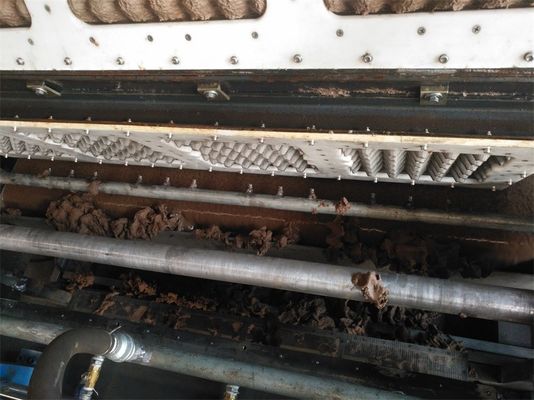 Jalur Produksi Tray Kertas Otomatis Untuk Pembuatan Karton Telur Pulp Satu Kali