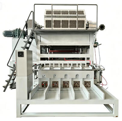 Rotary Paper Egg Tray Machine Egg Carton Production Line 5000 pcs/h Recycled Paper Pulp Molding for Mexican Poultry Farm